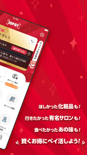 30PAY screenshot