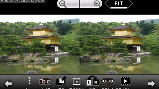 3DSteroid Pro screenshot