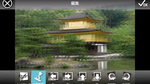 3DSteroid Pro screenshot