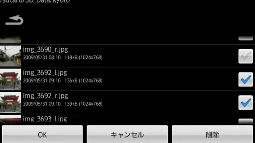 3DSteroid Pro screenshot