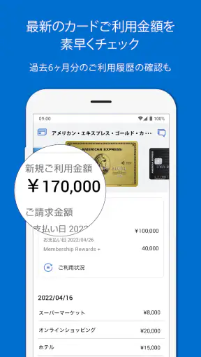 Amex Japan screenshot