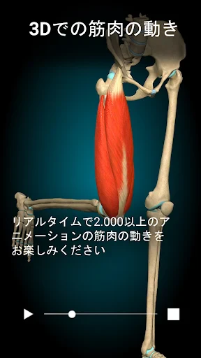Anatomy Learning - 3D解剖学 screenshot