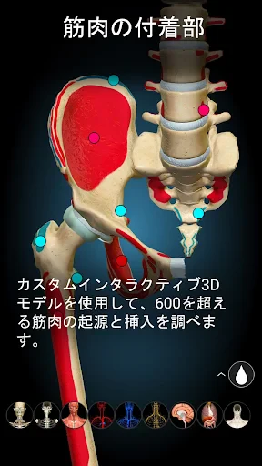 Anatomy Learning - 3D解剖学 screenshot