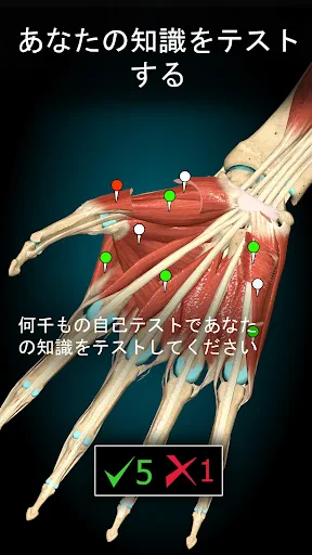Anatomy Learning - 3D解剖学 screenshot