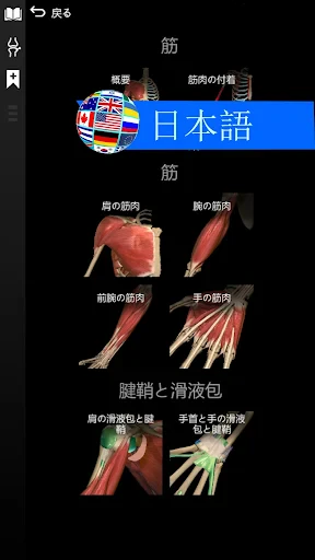 Anatomy Learning - 3D解剖学 screenshot