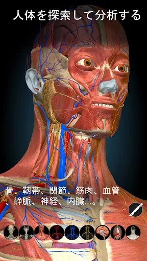 Anatomy Learning - 3D解剖学 screenshot