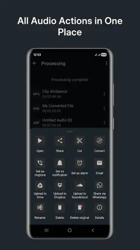Audio Converter (MP3 AAC OPUS) screenshot