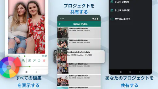 Blur Video & Image screenshot