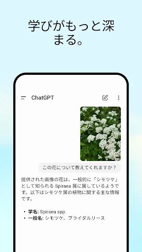 ChatGPT screenshot