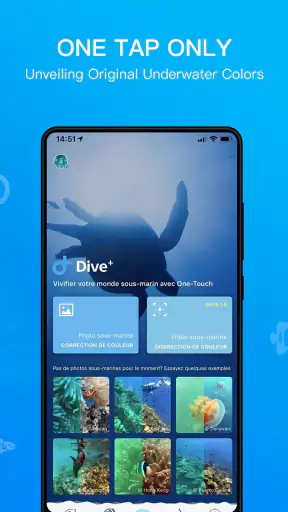 Dive+ : グローバルダイビングコミュニティ screenshot