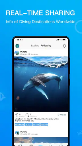 Dive+ : グローバルダイビングコミュニティ screenshot