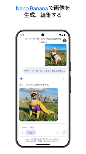Google Gemini screenshot