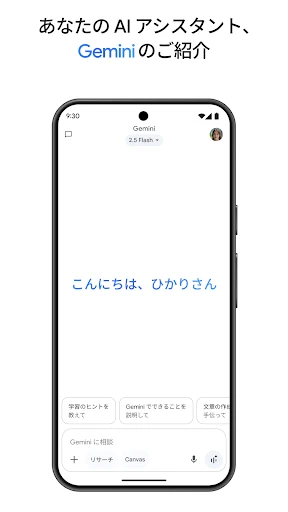 Google Gemini screenshot