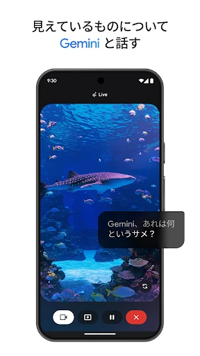 Google Gemini screenshot