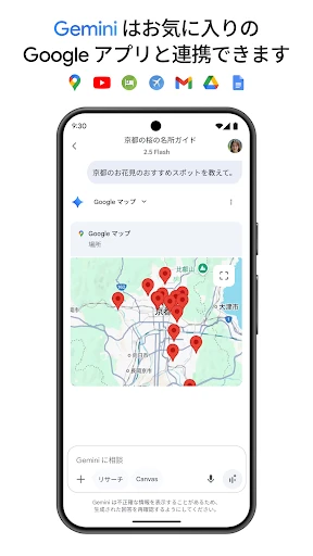 Google Gemini screenshot