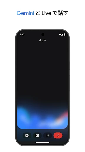 Google Gemini screenshot