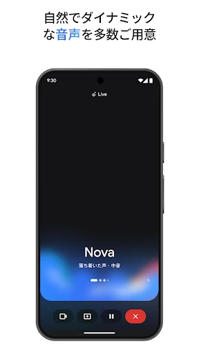 Google Gemini screenshot