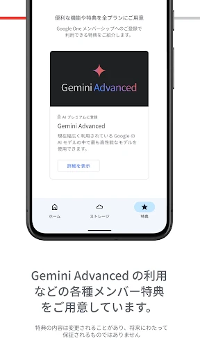Google One screenshot