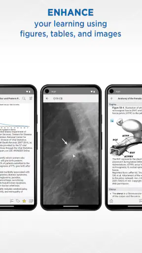 Gynecology and Obstetrics screenshot