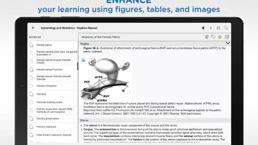 Gynecology and Obstetrics screenshot