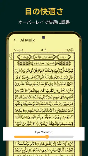 Holy Quran 16 Lines Al-Quran screenshot