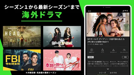 Hulu / フールー　人気ドラマ・映画・アニメなどが見放題 screenshot