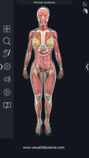 Human Anatomy screenshot