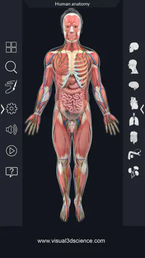 Human Anatomy screenshot