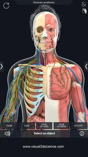 Human Anatomy screenshot
