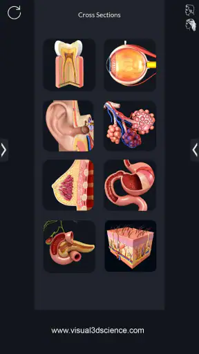 Human Anatomy screenshot