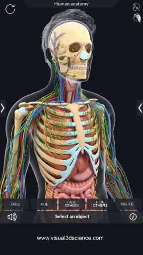 Human Anatomy screenshot
