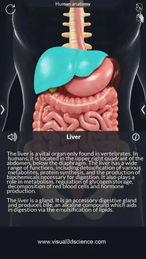 Human Anatomy screenshot