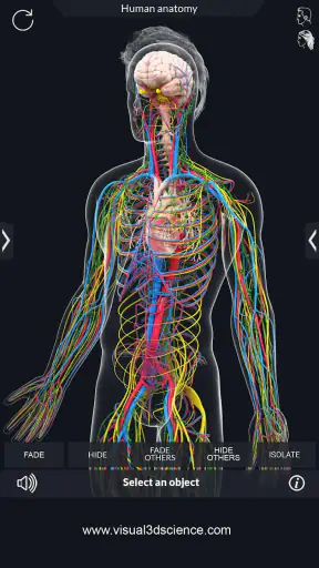 Human Anatomy screenshot