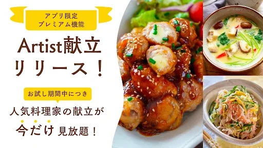 Nadia - プロの料理家のおいしいレシピが満載 screenshot