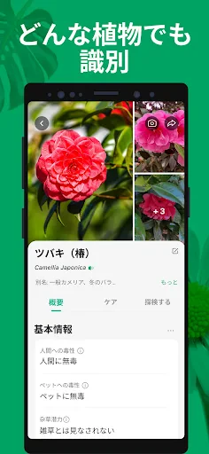 PictureThis：撮ったら、判る-1秒植物図鑑 screenshot