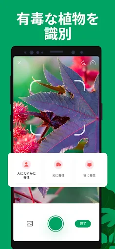 PictureThis：撮ったら、判る-1秒植物図鑑 screenshot