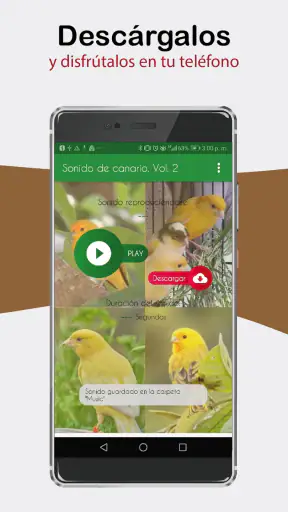 Sonidos de Canarios. Cantos. screenshot