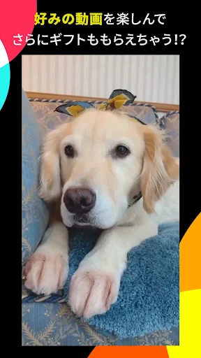 TikTok Lite ポイント！動画！うれしい！楽しい！ screenshot