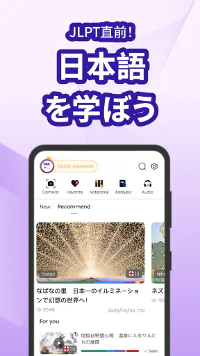 Todaii: Japanese 日本語を学ぶ N5-N1 screenshot