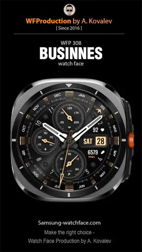 WFP 308 Business watch face screenshot