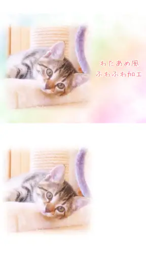 わたあめカメラ screenshot