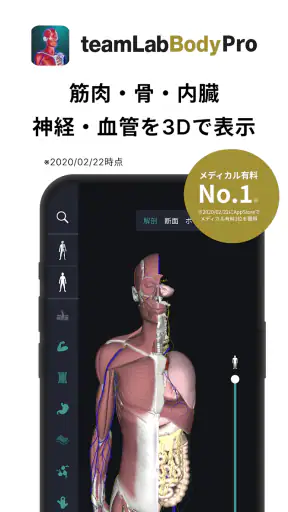 チームラボボディPRO 人体の解剖学アプリ 骨・筋肉・臓器 screenshot