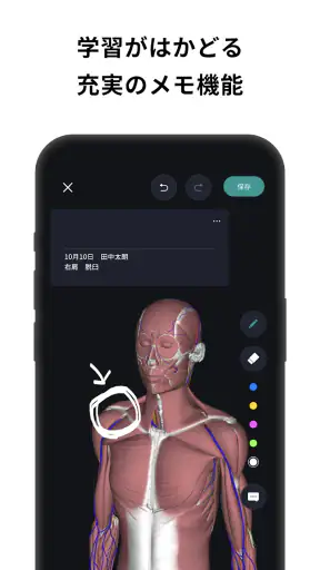 チームラボボディPRO 人体の解剖学アプリ 骨・筋肉・臓器 screenshot