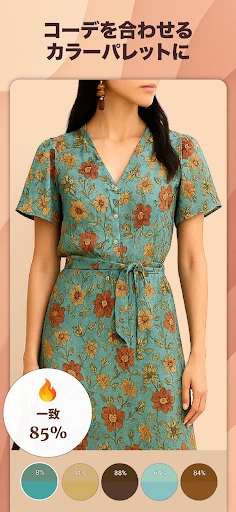 パーソナルカラー診断, 顔タイプ診断 - Dressika screenshot