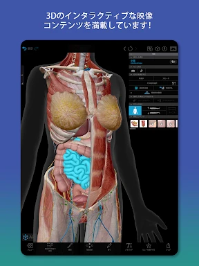 ヒューマン・アナトミー・アトラス2026 screenshot