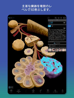 ヒューマン・アナトミー・アトラス2026 screenshot