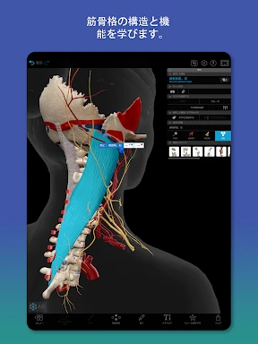 ヒューマン・アナトミー・アトラス2026 screenshot