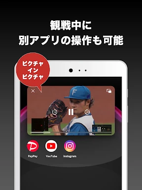 ベースボールLIVE screenshot