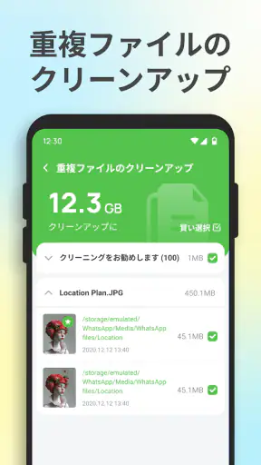 マイファイル清掃 screenshot