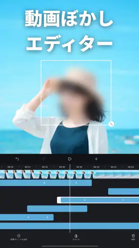 動画ぼかし - モザイク screenshot